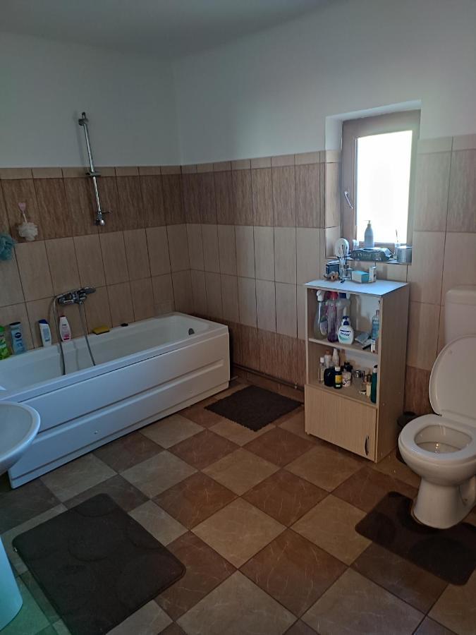ホテル Central House Curtea de Argeş エクステリア 写真
